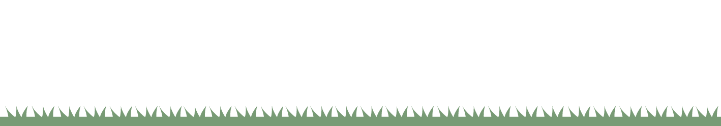 It's A Walk In The Park