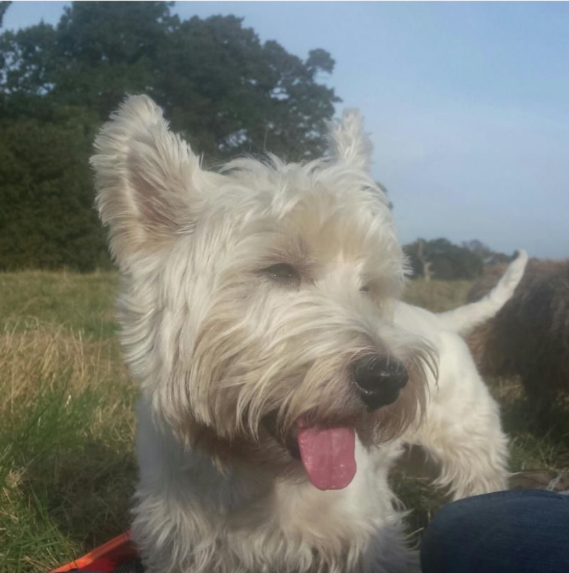Baxter