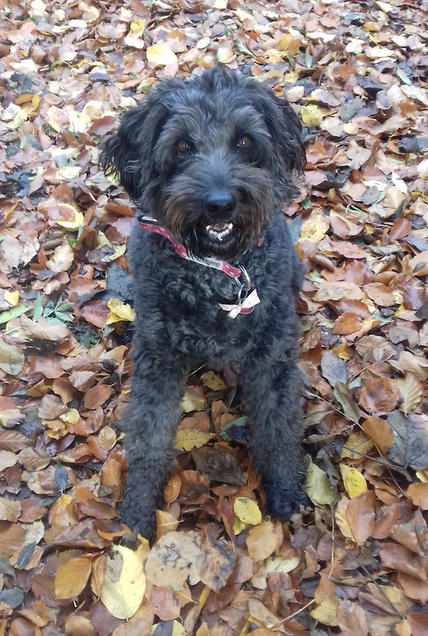 Molly